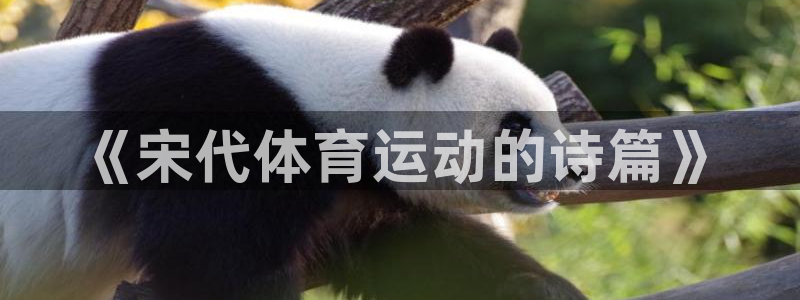 球客岛