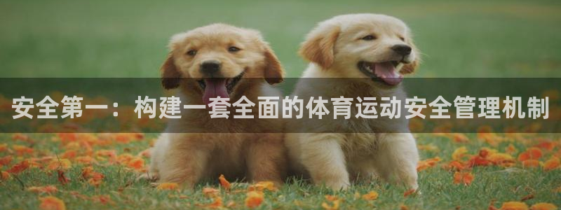 球客岛