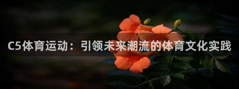 球客岛：C5体育运动：引领未来潮流的体育文化实践