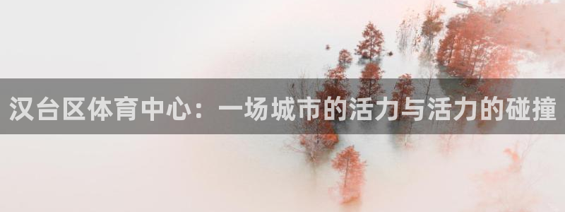 球客岛：汉台区体育中心：一场城市的活力与活力的碰撞