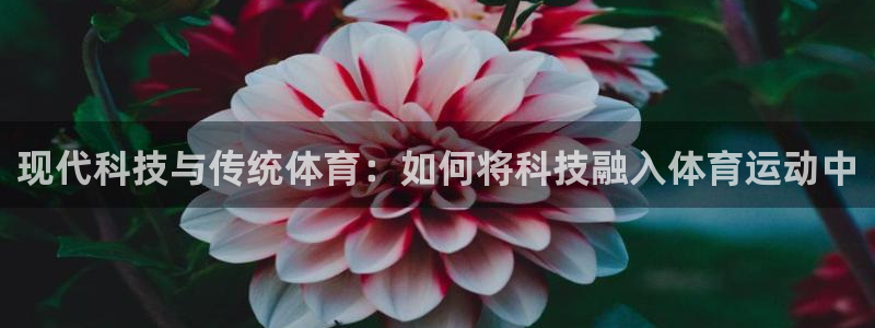 球客岛：现代科技与传统体育：如何将科技融入体育运动中