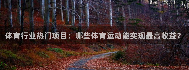 球客岛：体育行业热门项目：哪些体育运动能实现最高收益？