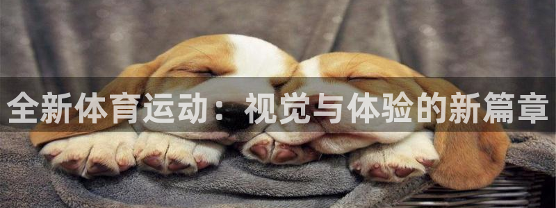 球客岛