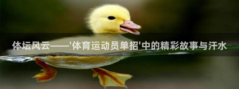 球客岛：体坛风云——\'体育运动员单招\'中的精彩故事与汗水