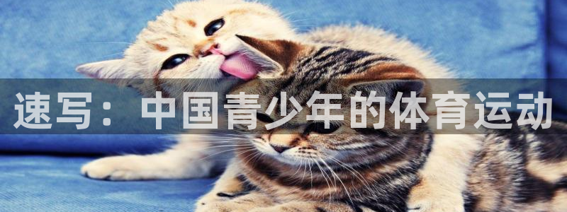 球客岛：速写：中国青少年的体育运动